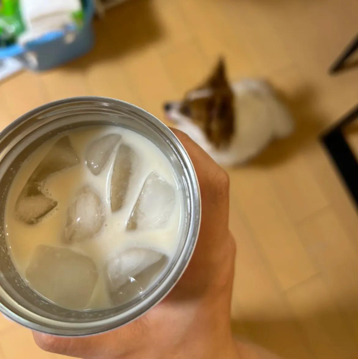 终于明白为啥自家做奶茶不好喝了..时至今日，我才彻底领悟，过往自制奶茶的平淡之谜