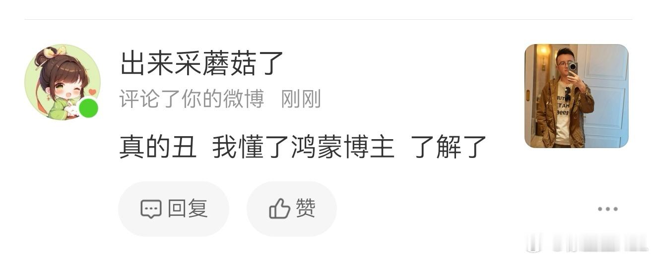 我丑不丑关鸿蒙啥事啊...这怎么还人身攻击上了？把你的照片发出来我们比一比。