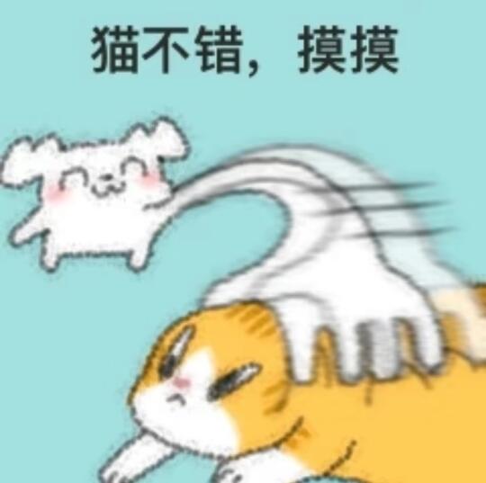看不懂老公和弟弟之间的兄弟情