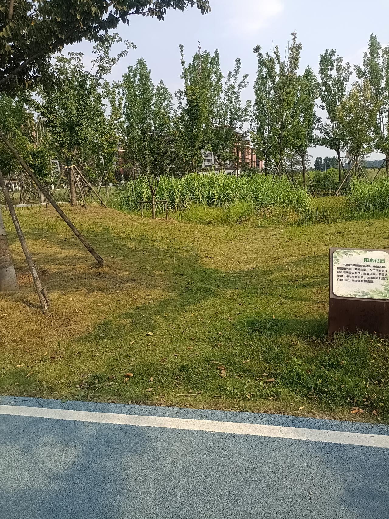 很现实的一段话：“你手里有四五百万，儿女盼着你死；你一月退休金八九千，儿女害怕你