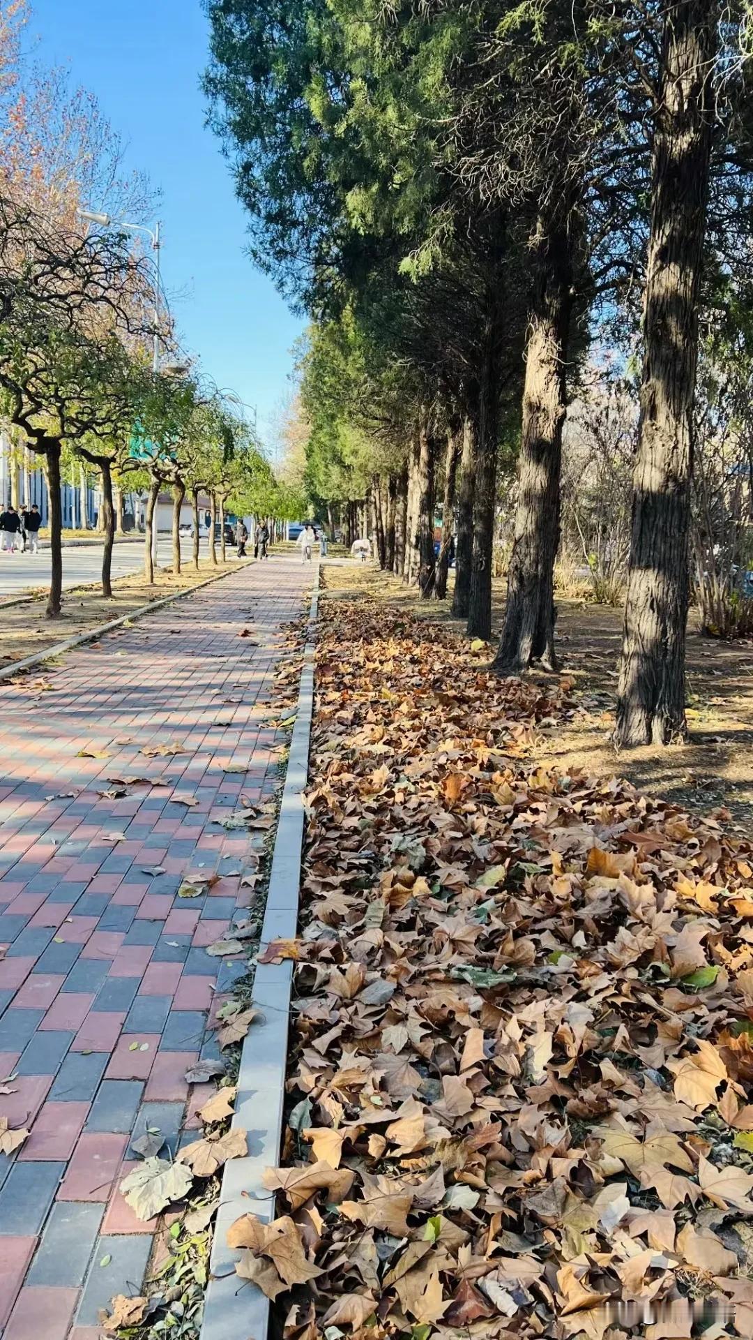老师，您今年多大了？[笑哭]

今天下午给一班上完课，我拿着书往外走，突然学生小
