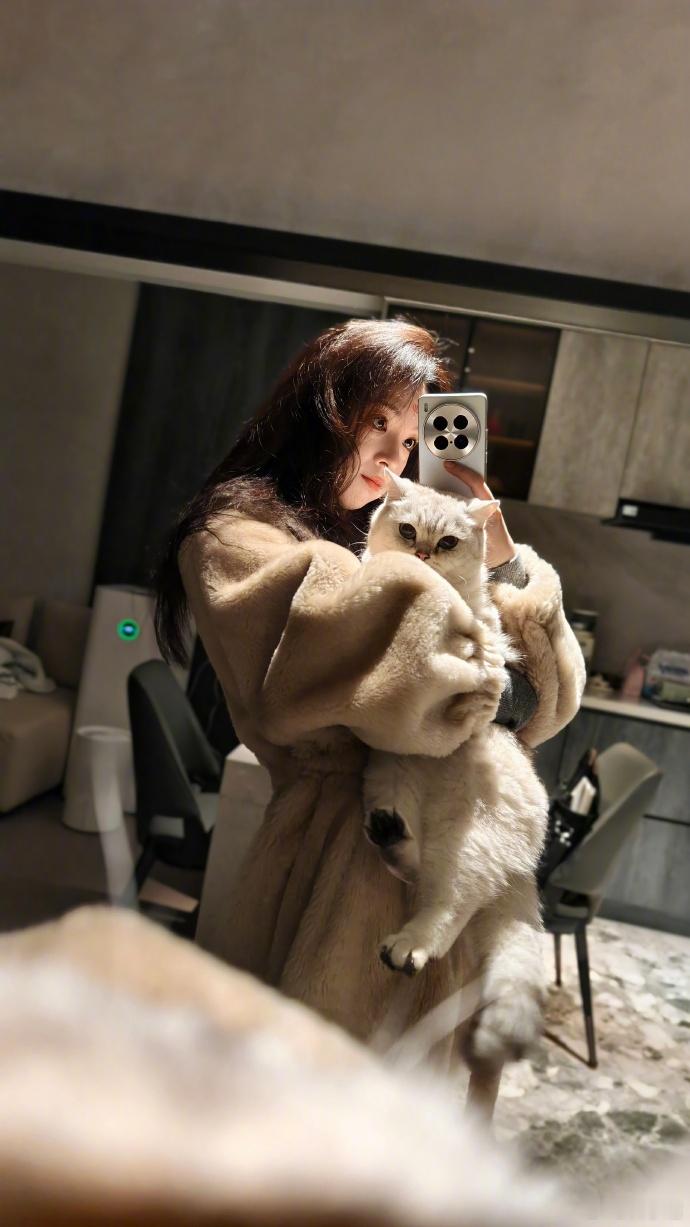 陈瑶完全御兽宗圣女陈瑶的小呼报恩型小猫终于懂什么叫报恩小猫，小呼的状态真的好乖，