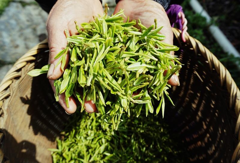 【四十岁的男人，是雅致的西湖龙井茶，简单中藏着完美，成熟中透着高贵】
     