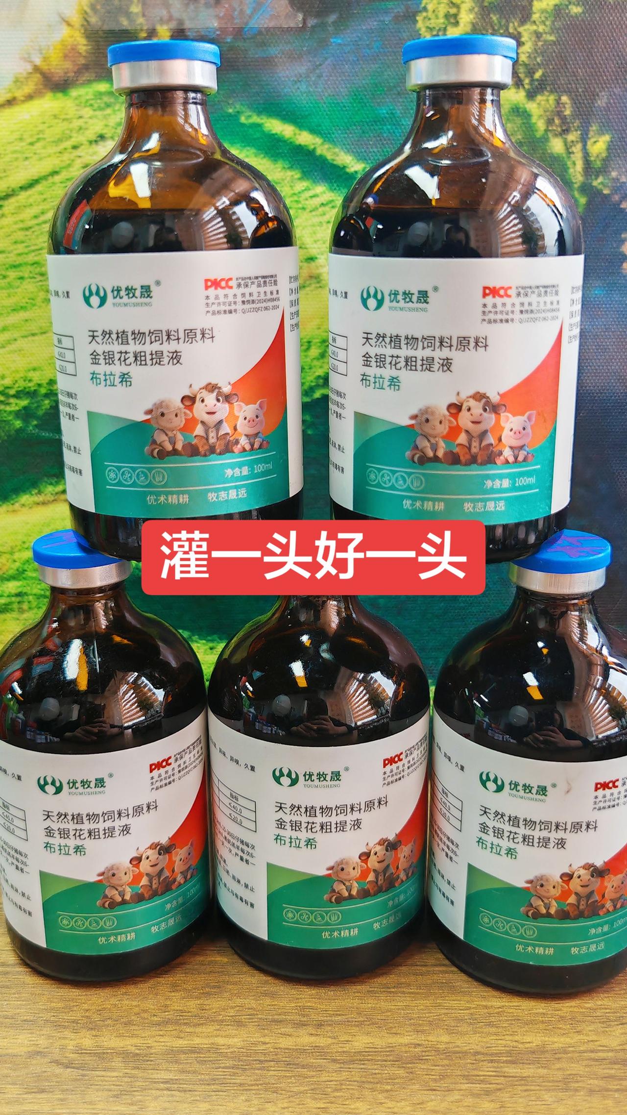 养羊人 牛羊养殖 农村养羊