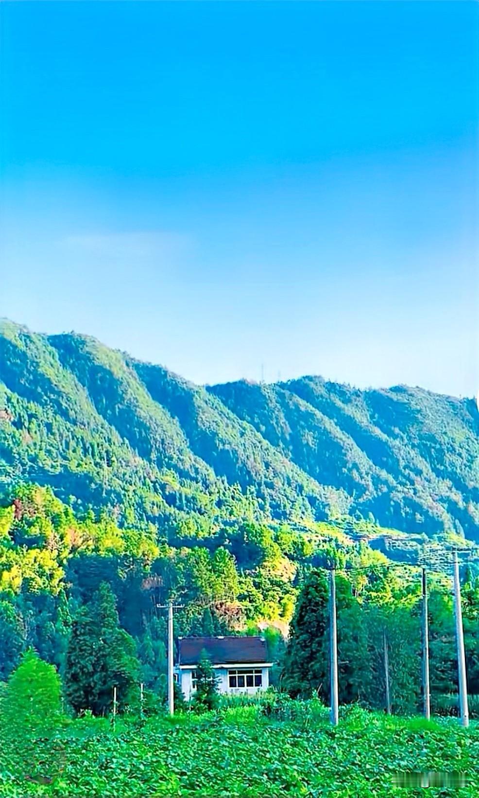 我相册里就有这么一张绝美的天空风景图。画面里，蓝天白云像是被大自然精心调配过，蓝