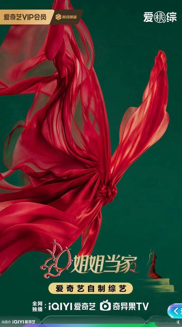 徐梦桃巴黎夺冠后第一个综艺徐梦桃王心迪夺冠后综艺首秀2026爱奇艺世界大会 从赛