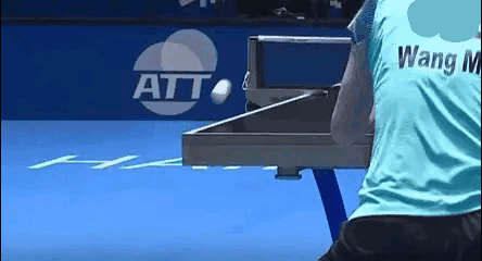 球迷如果爱莎莎，就不要让她太尴尬
亚洲杯已经落幕，但是围绕那个擦边球的讨论，依然