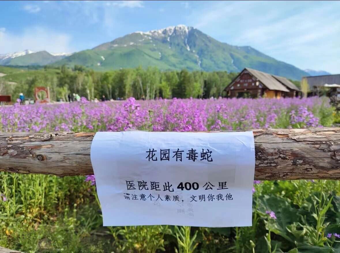 那些粗暴但是很有效的标语 ​​​