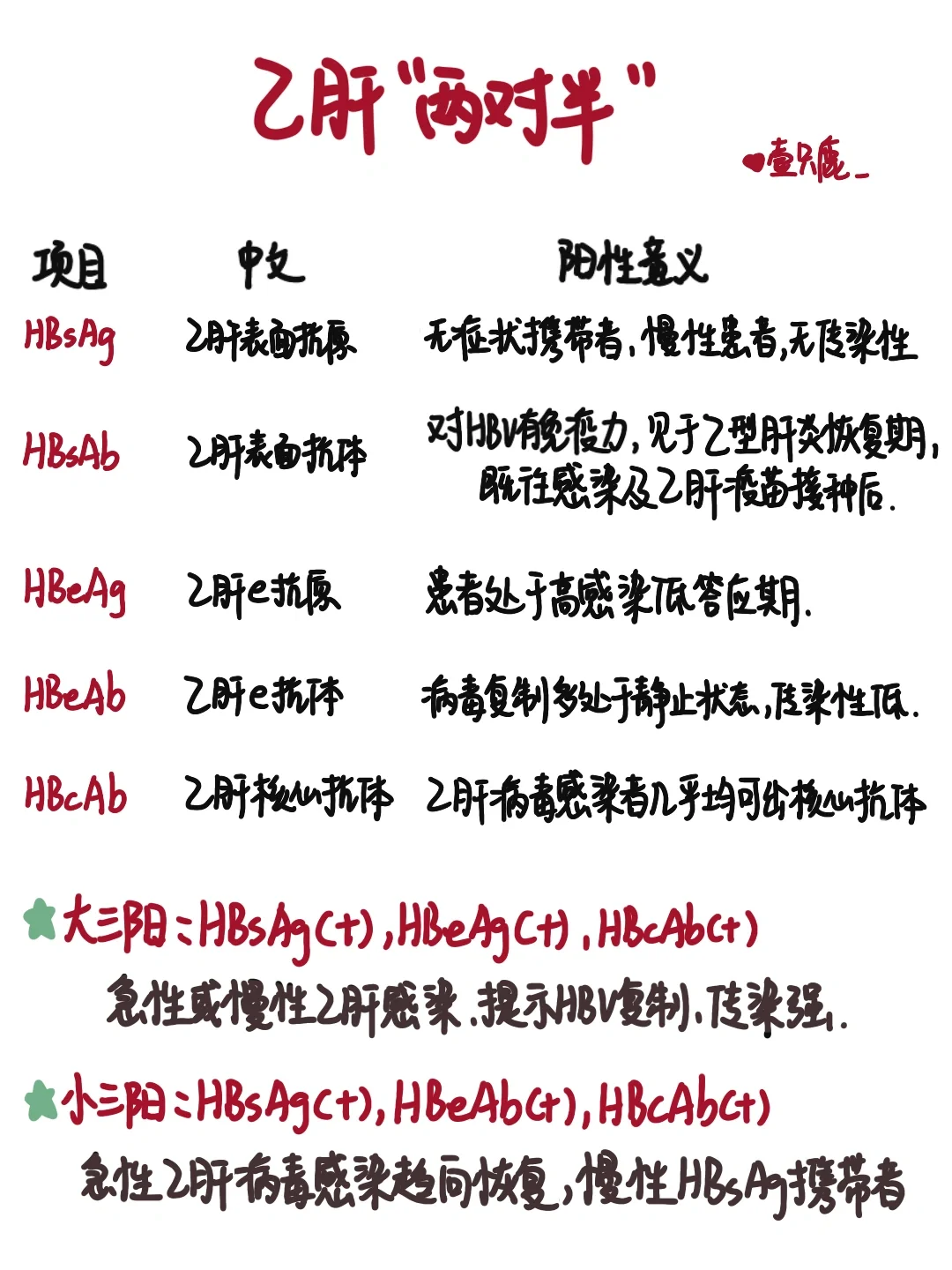 医学生笔记📒｜乙肝“两对半”👩‍⚕️