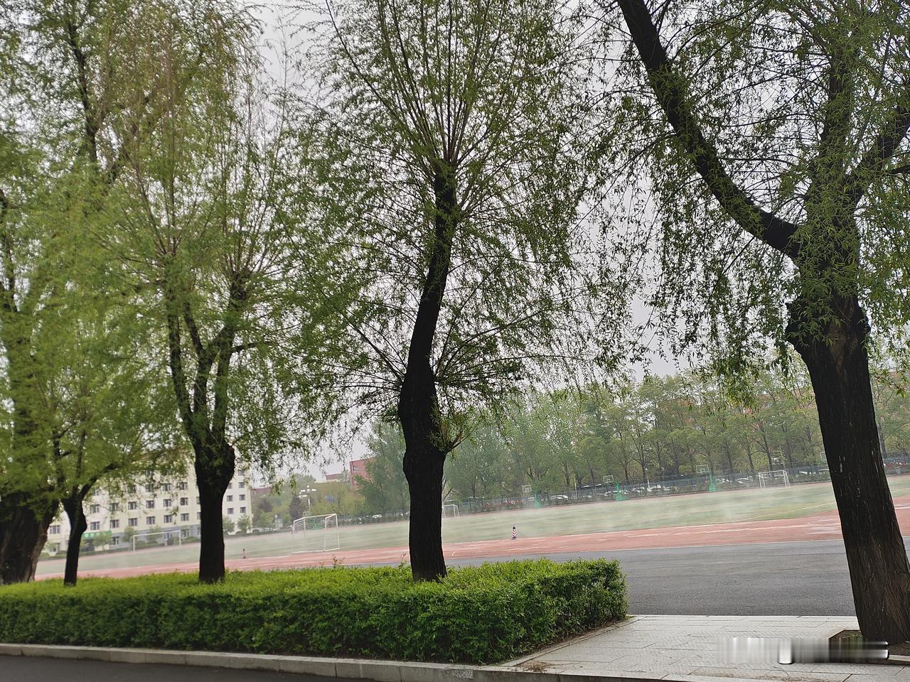 40岁后，懂生活就是懂养生！
 
早睡，可以修复 85% 的脏腑损耗

晒太阳，