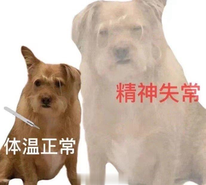 #iPhone15和iPhone14Pro谁更值#听我的 直接买14Pro，问这