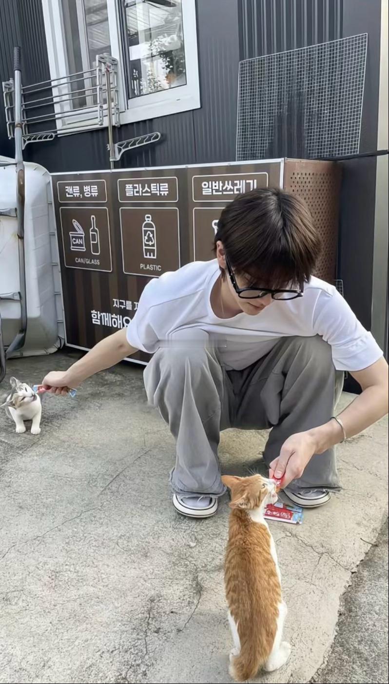 🐰 一起爱护大自然与社会携手做公益关心小动物的生存  关怀需要帮助的人  多看