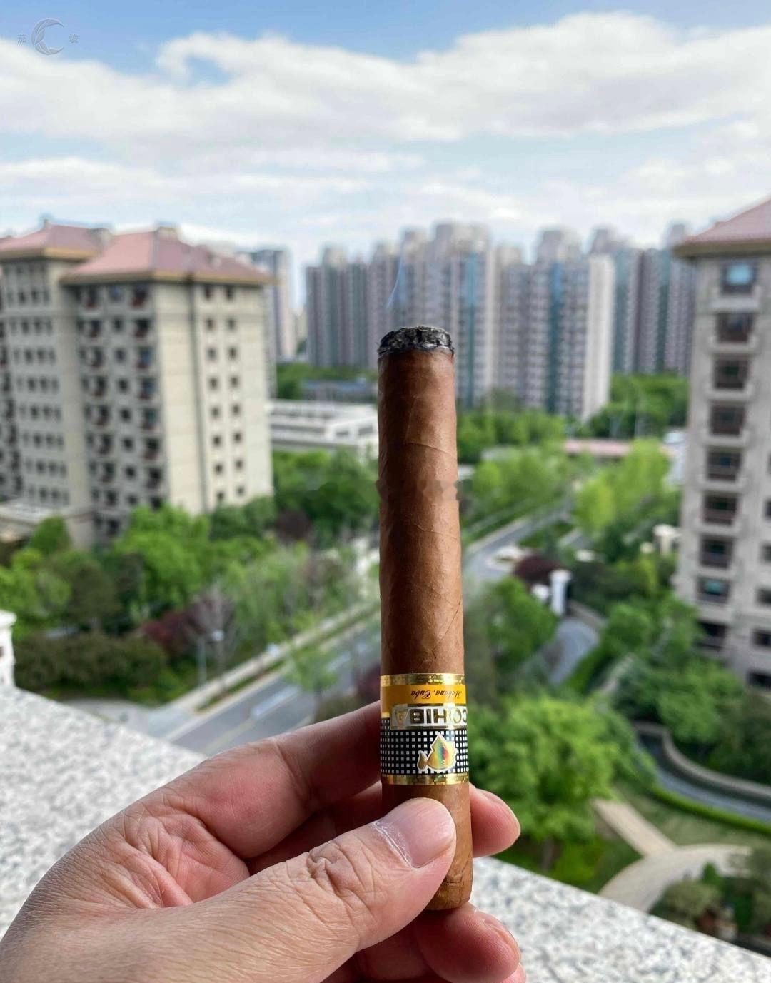 趁着闲暇的时间，不妨找咱聊聊？每天从早间蹲守至凌晨，为的能多抓一波确定性的行情，