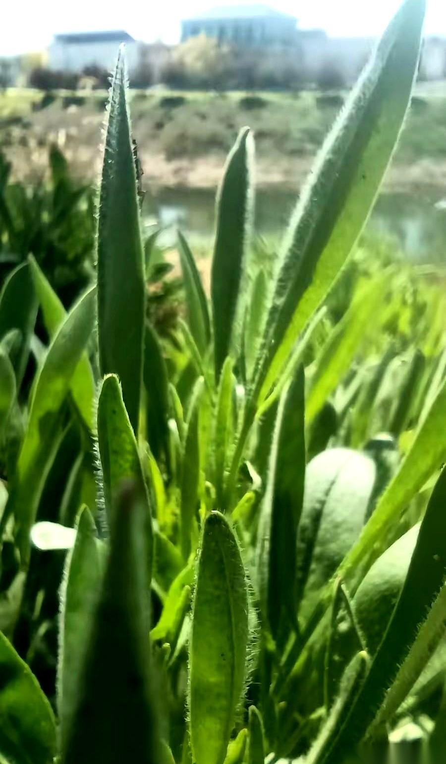 炒了这么多年，算是彻底把这游戏看透了。
大盘一根绿线砸下来，根本不是让你跑的，是