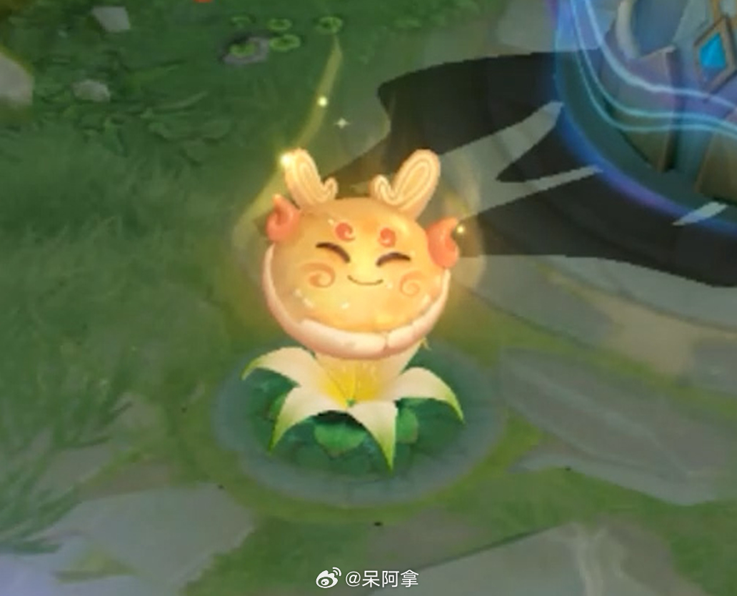 我觉得它可以叫：哈龙包！哈代表开心 龙代表这个形象 包代表血包[doge][do