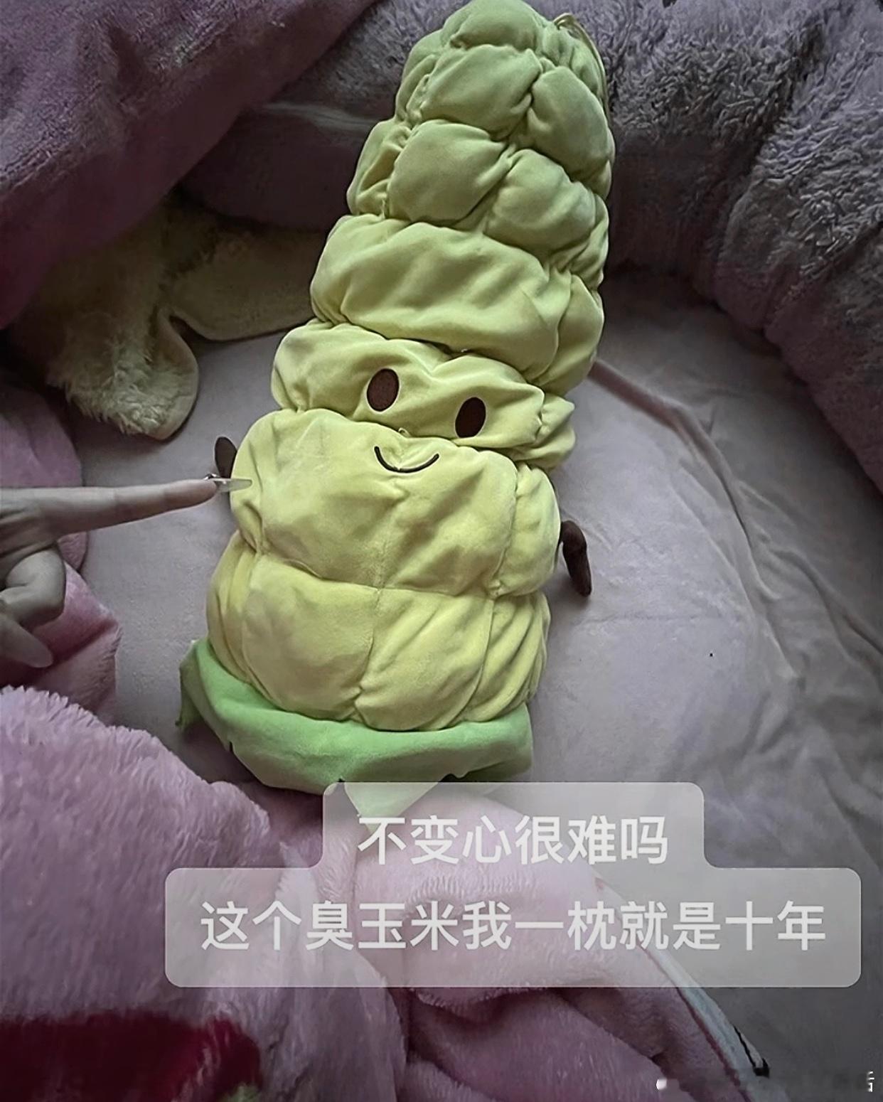 当代大学生能有多长情[doge] ​​​