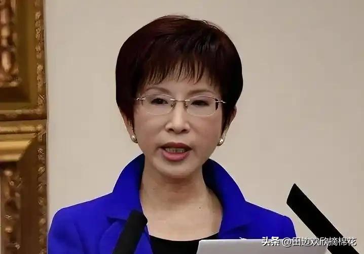 洪秀柱当着郑丽文、韩国瑜等一众国民党大佬的面称：一中就是一个中国，大陆加台湾一个