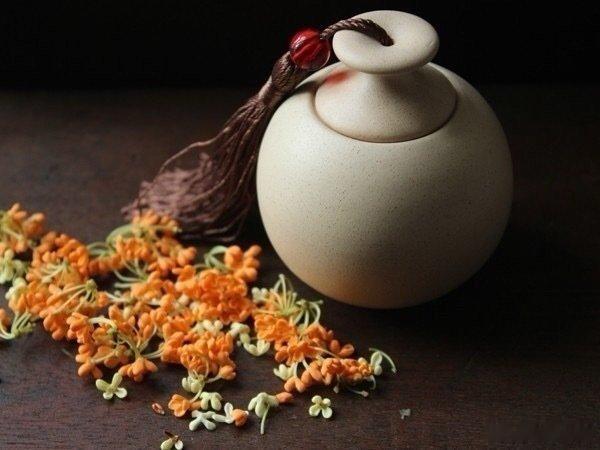 我对蝉说：来日再见，要待来年。蝉对我说：他日重逢，要等来生。——《道别》
