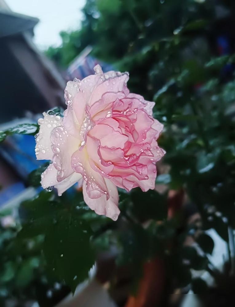 我帮3个同事订了飞机票，催了两天没一个人转钱

前阵子我也遇过差不多的事，帮同部