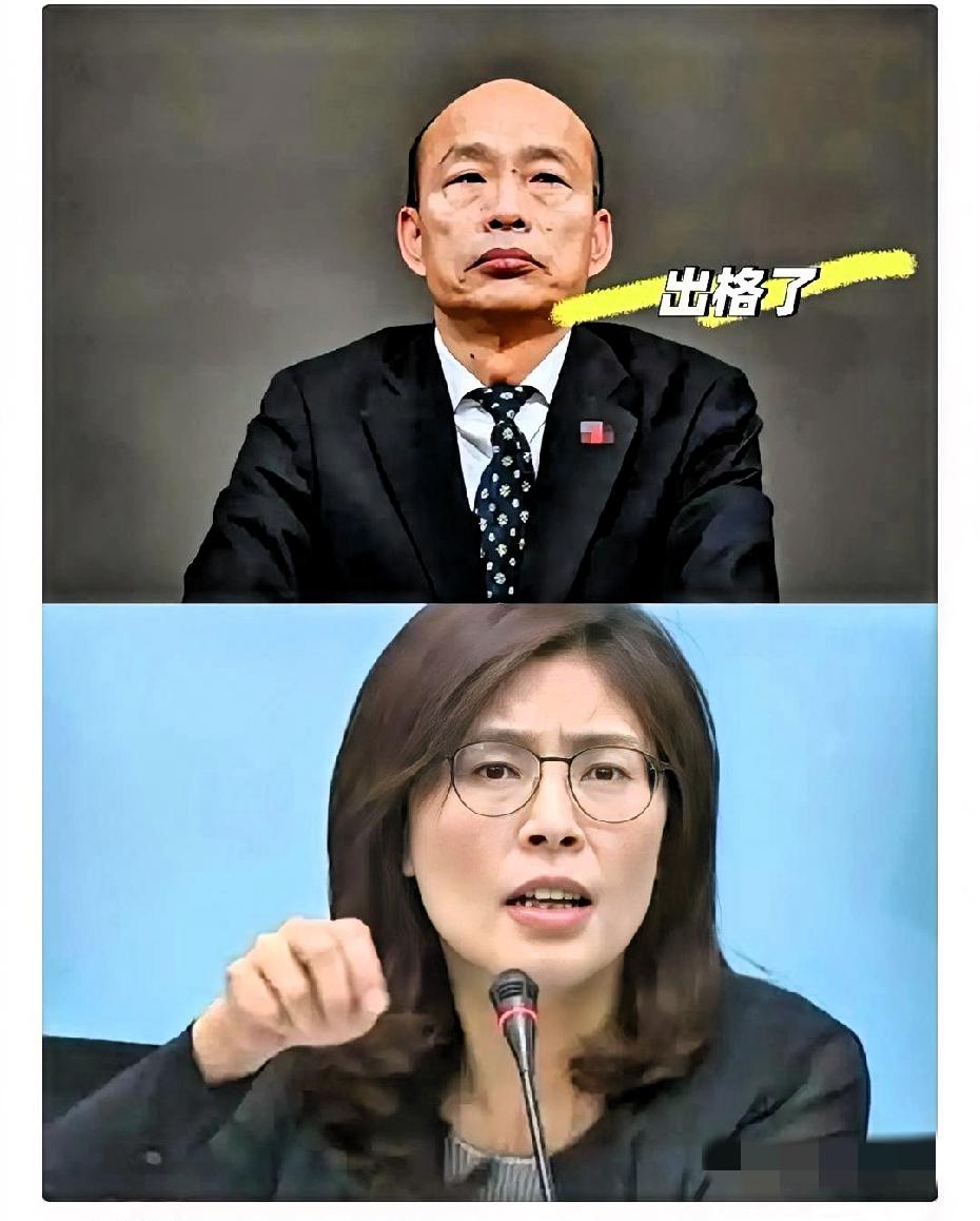 韩国瑜的肠子都悔青了，
郑丽文以九二共识为锚点当选国民党
主席，本是蓝营重整两岸