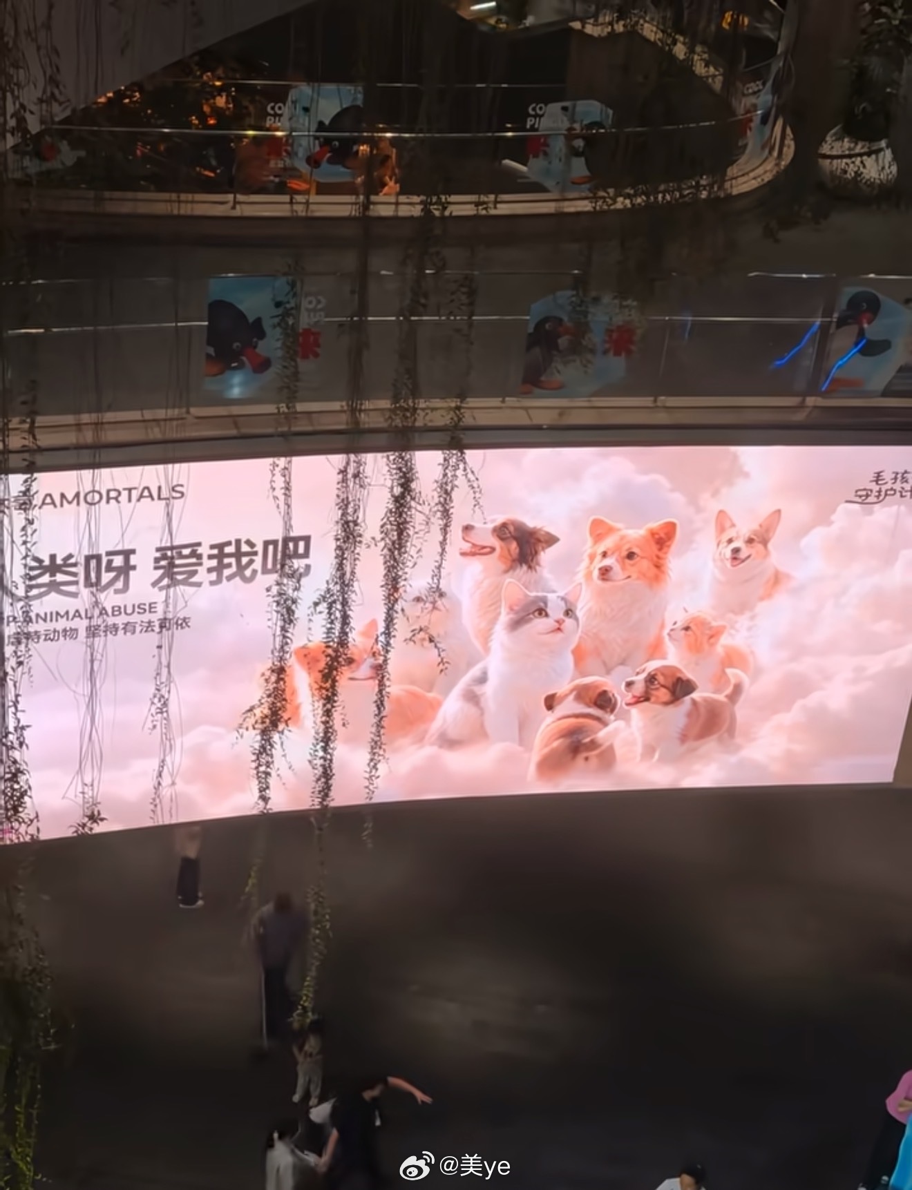 尔木萄在深圳投了旺旺的公益广告看到又开始难受了先买了十包洗脸巾支持一下决定明天给