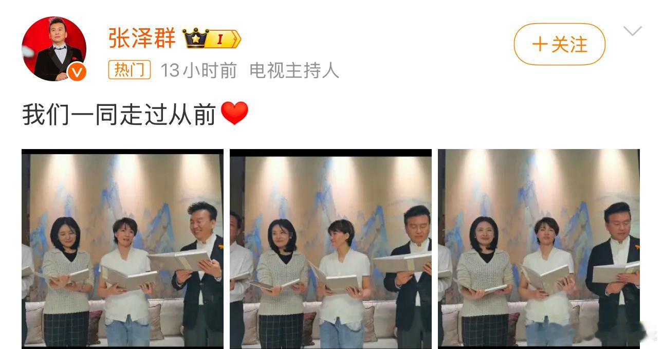 周涛董卿合照  张泽群晒与朱军周涛董卿合照  今日，主持人张泽群晒与周涛、董卿、