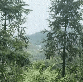 泪目了！贵州一男子国庆假期结束，从老家返程上班。离家走远、登上山头时，他想用手机