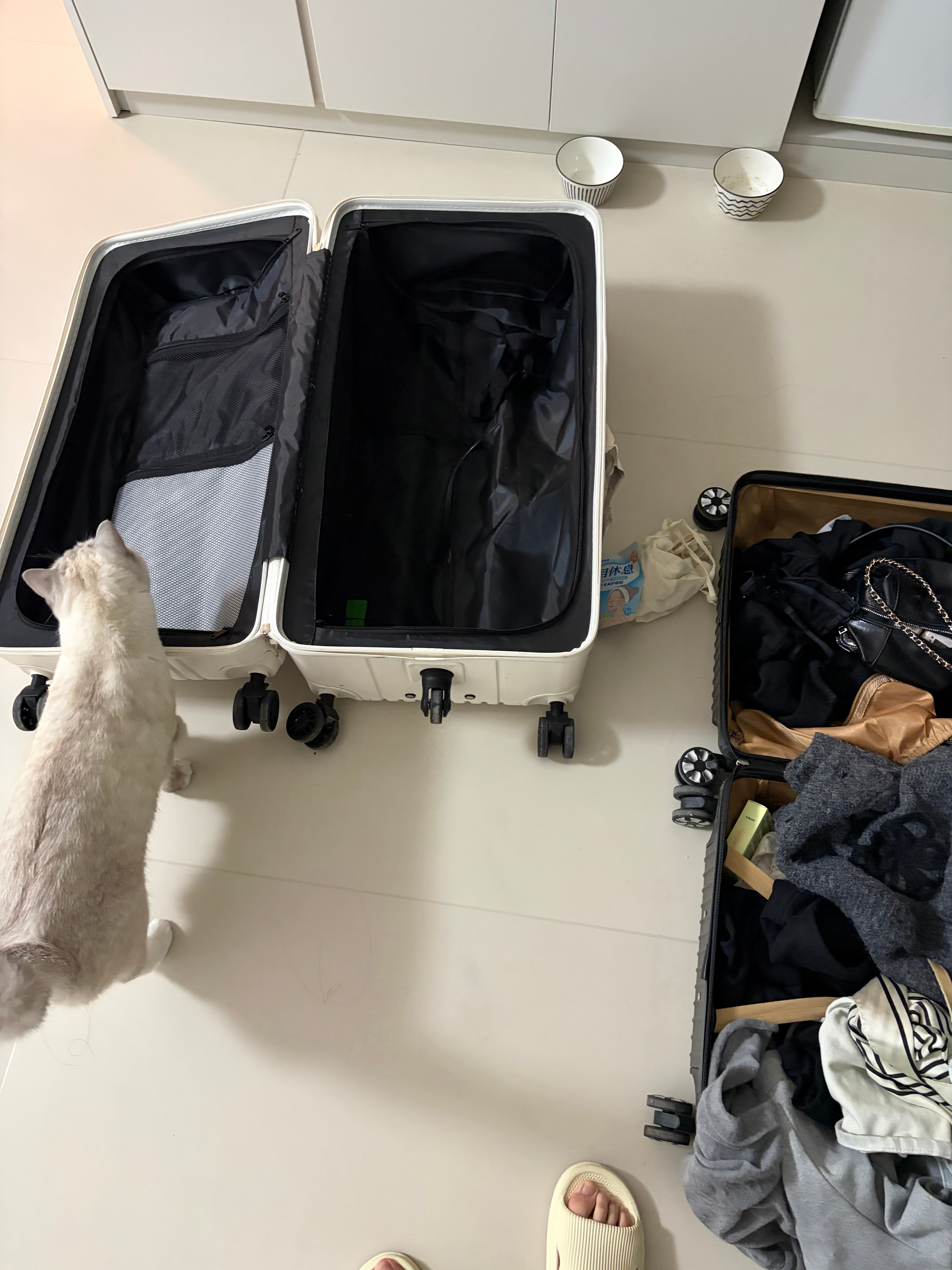 拖延症真的很严重 从贵阳回来没理的箱子 没办法马上要出去玩了 才打开箱子理行李[