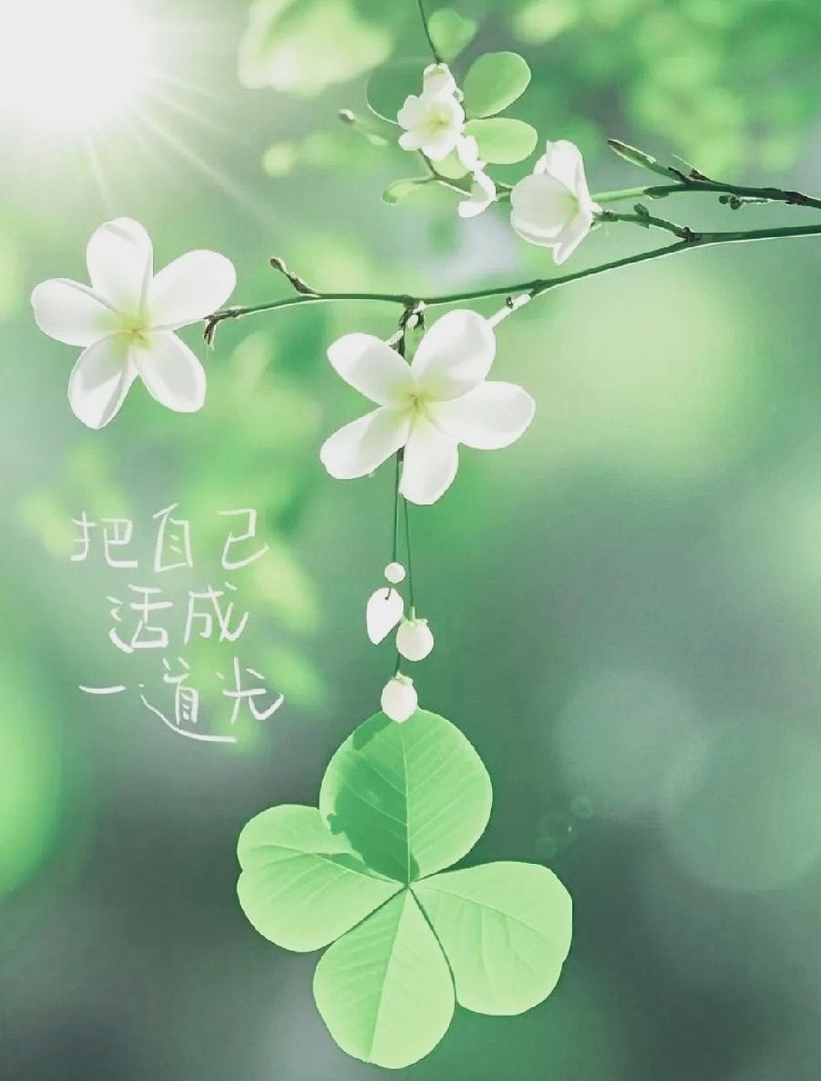 活在这世界上，有人爱你，
总不是一件坏事。