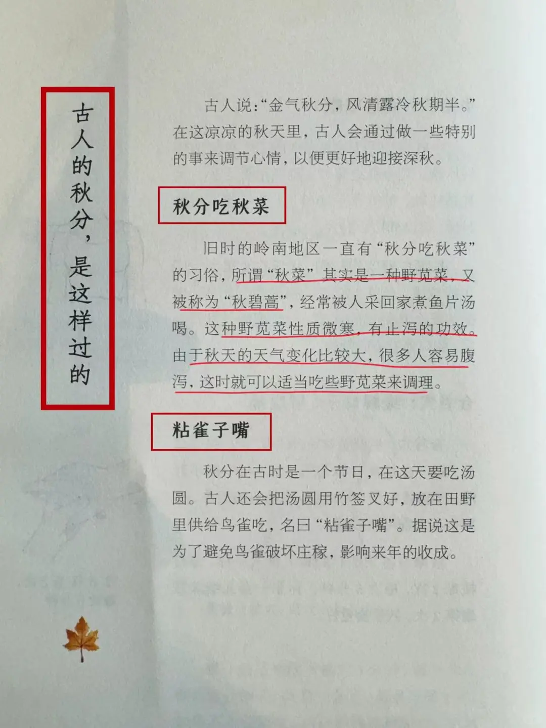 秋分到啦，防燥很重要