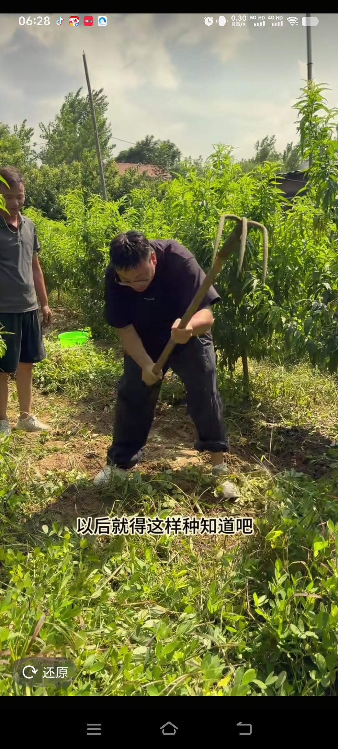 厉怀远带着哥哥嫂子和妹妹一起去田间地头泡花生，厉怀远娴熟的动作，让哥哥妹妹看着心