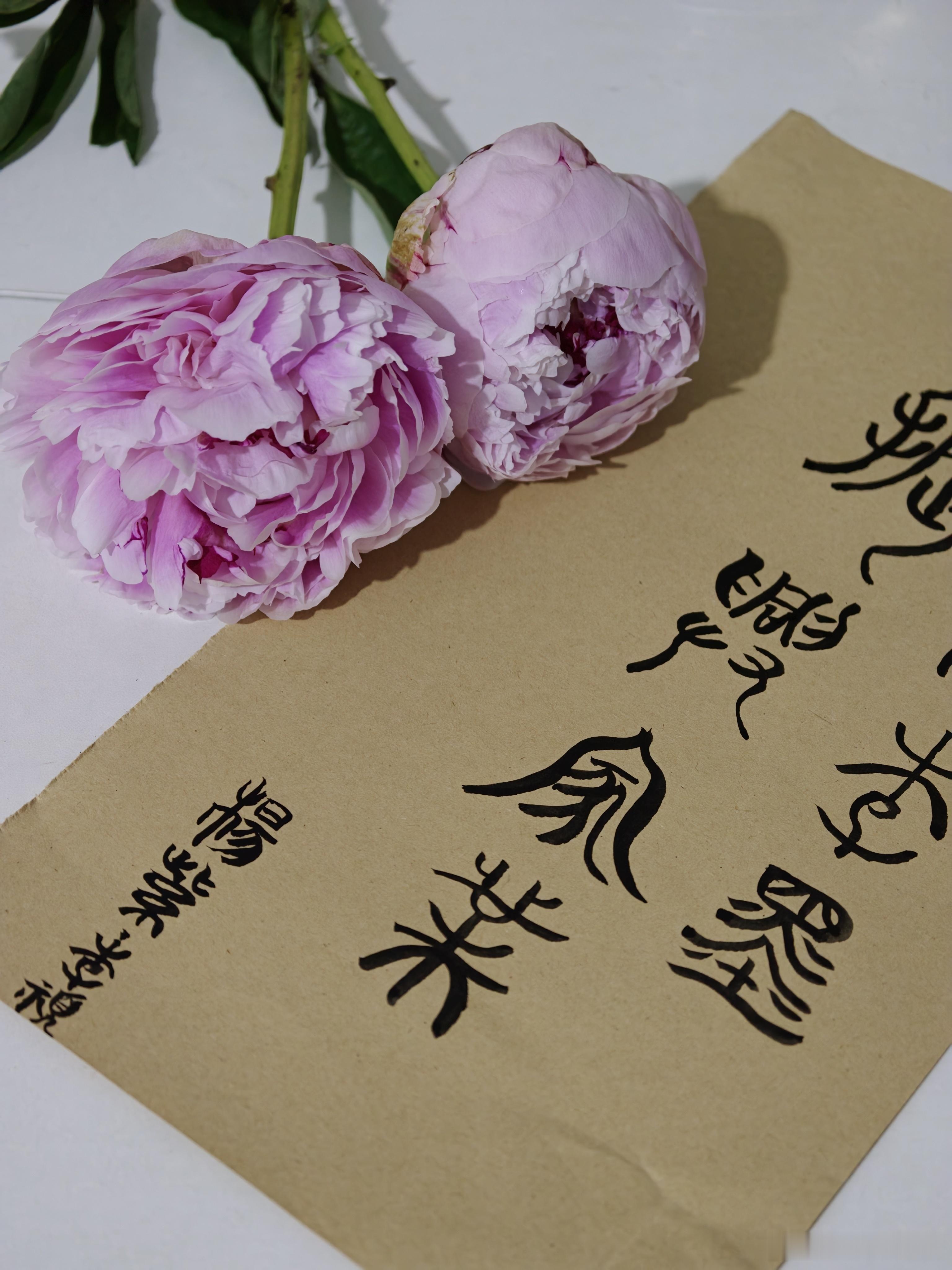 杨紫陪李祯一笔祯心 传承李墨振兴家业——杨紫&李祯杨紫李祯 ｜杨紫家业 