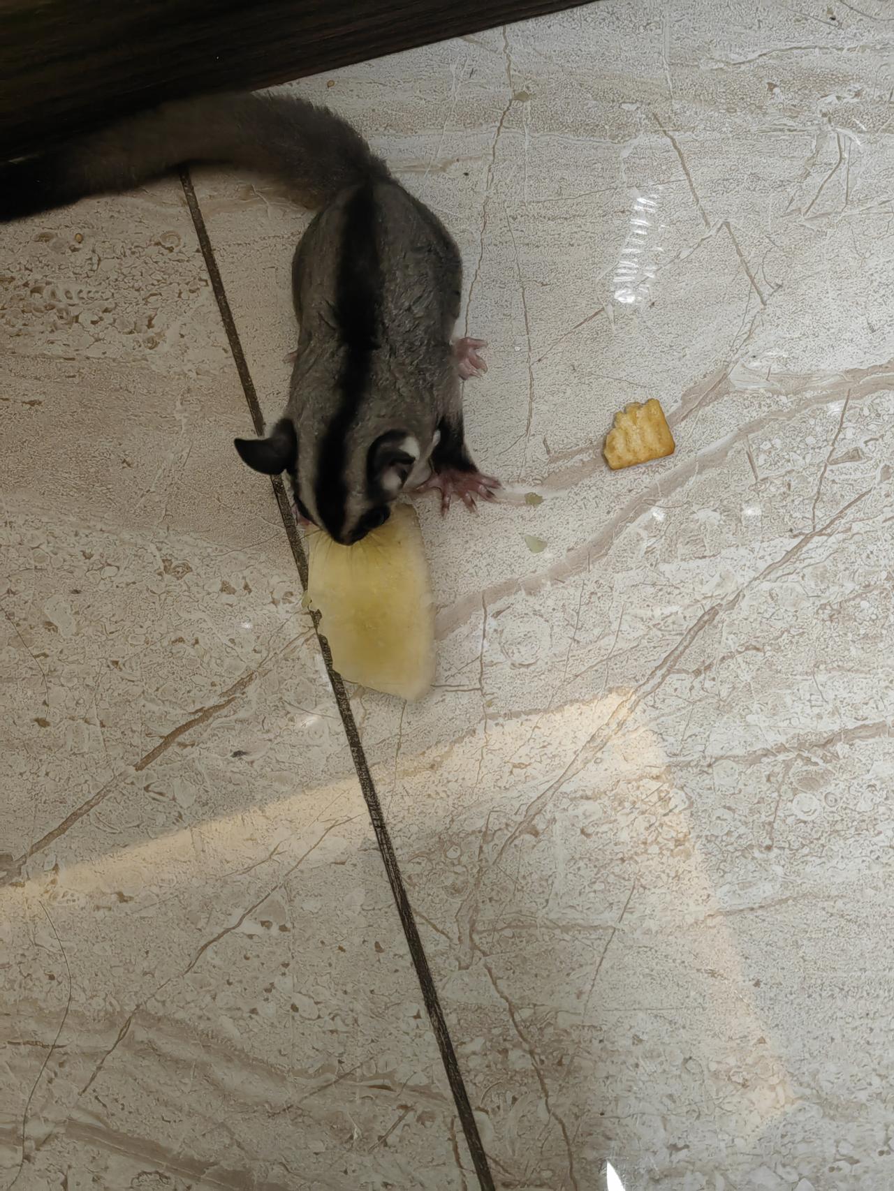 销售能出单跟一个公司的平台和实力有很大的关系，当然还缺个销售领头人。招销售定义的