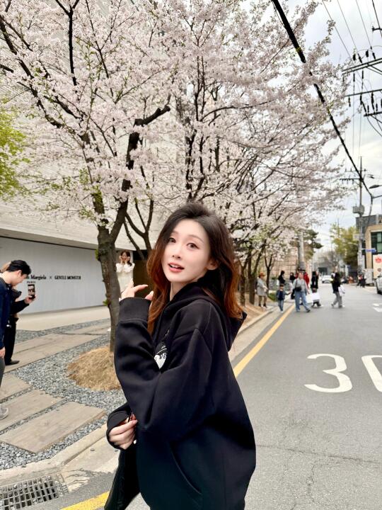 空气是樱花味的🌸