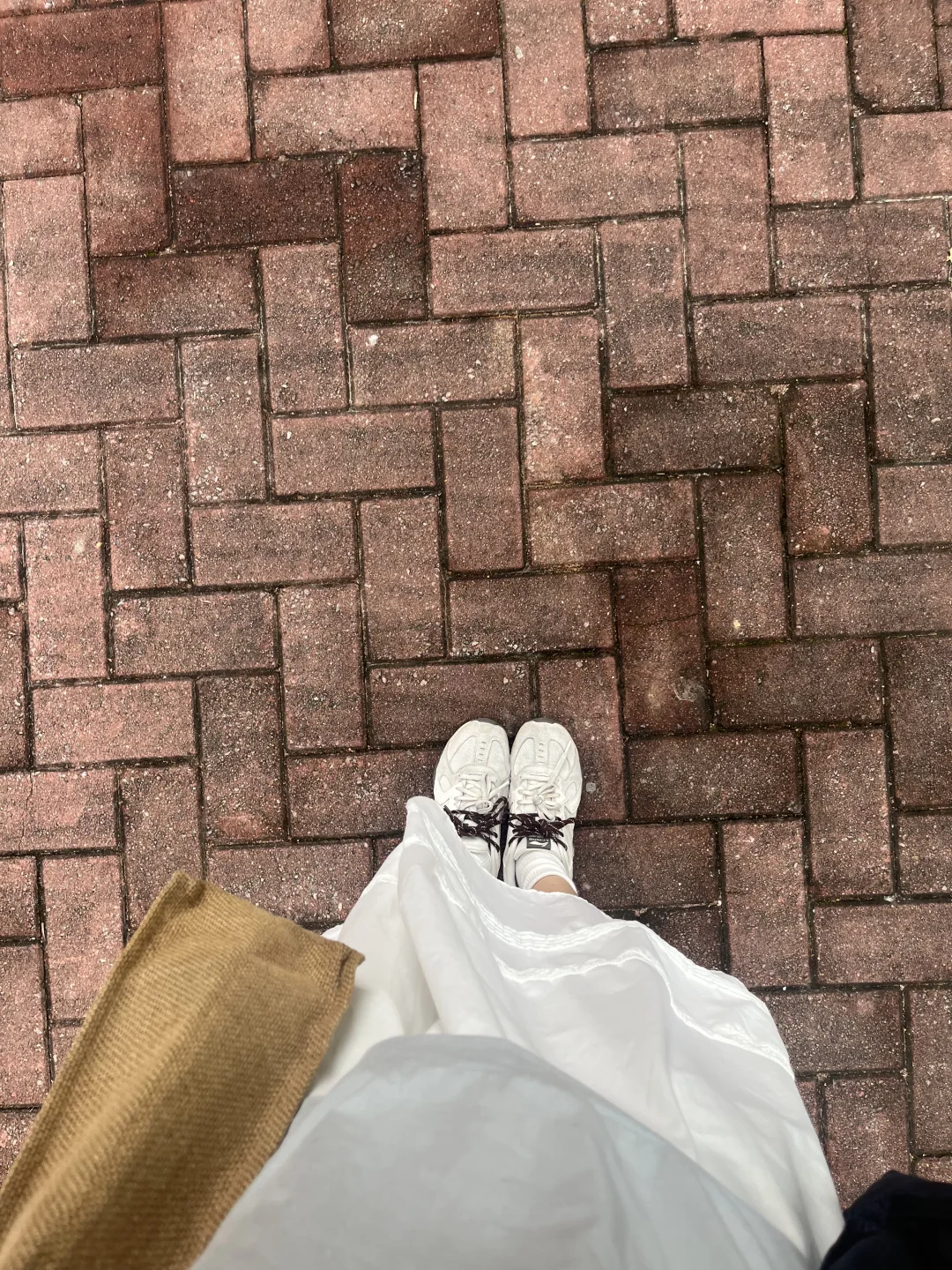 相亲内耗的根源｜看完几百条评论我悟了