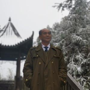 青青松树枝