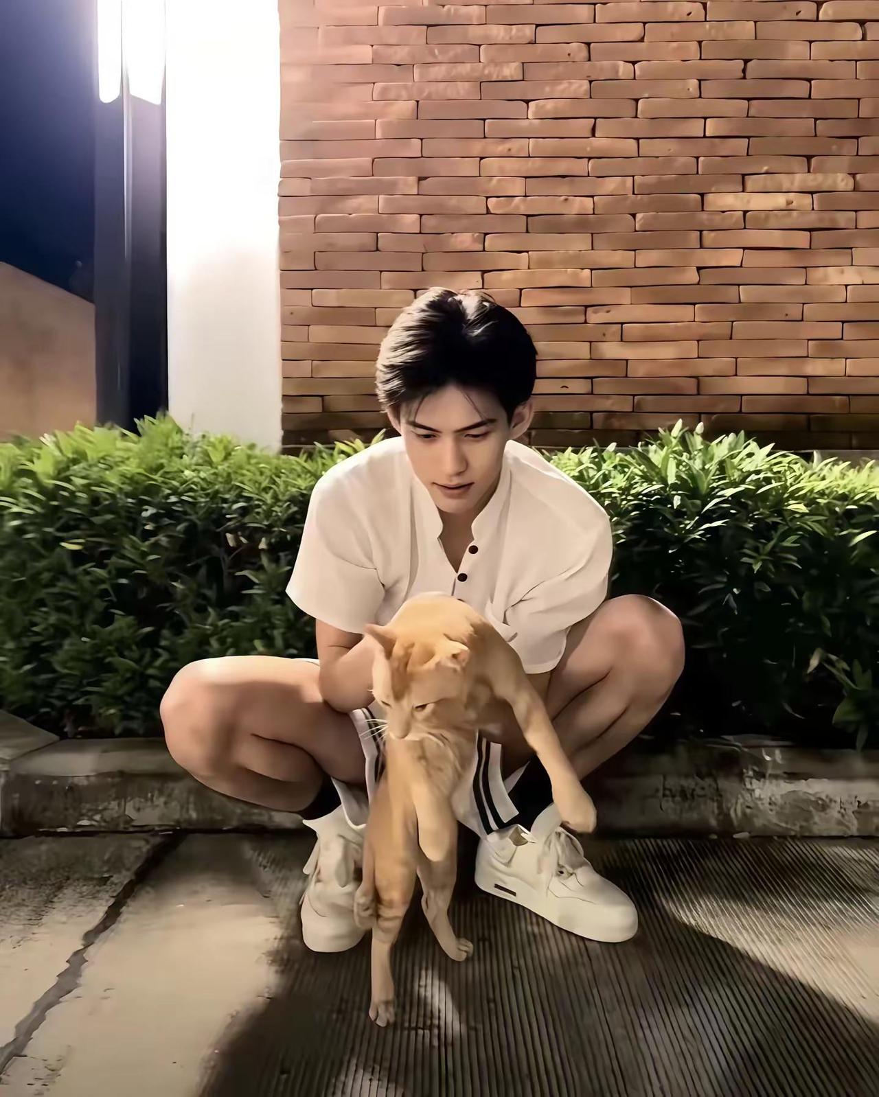 那个小高就是哪里都郝