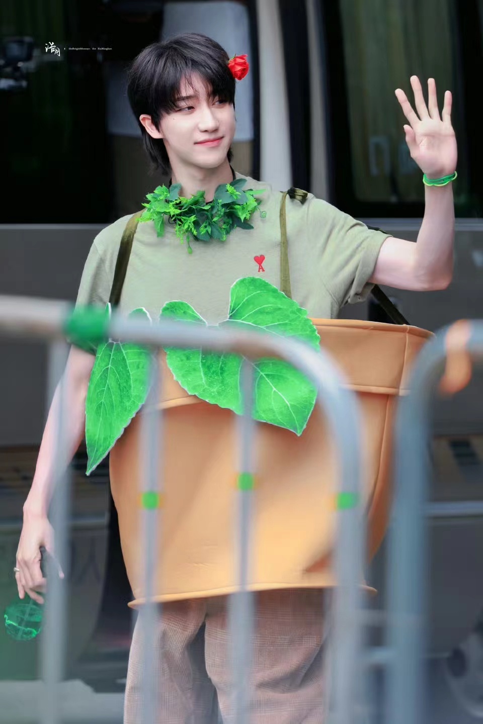 #徐明浩开花了##徐明浩头上戴了红花#徐明浩头上戴了朵小红花，真的很绝 ​​​