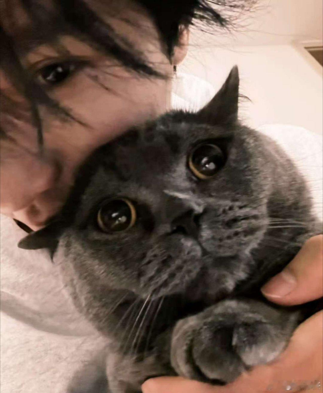 展轩抱猫照展轩最近拍的日落展轩最近拍的日落，抱猫照好有爱，