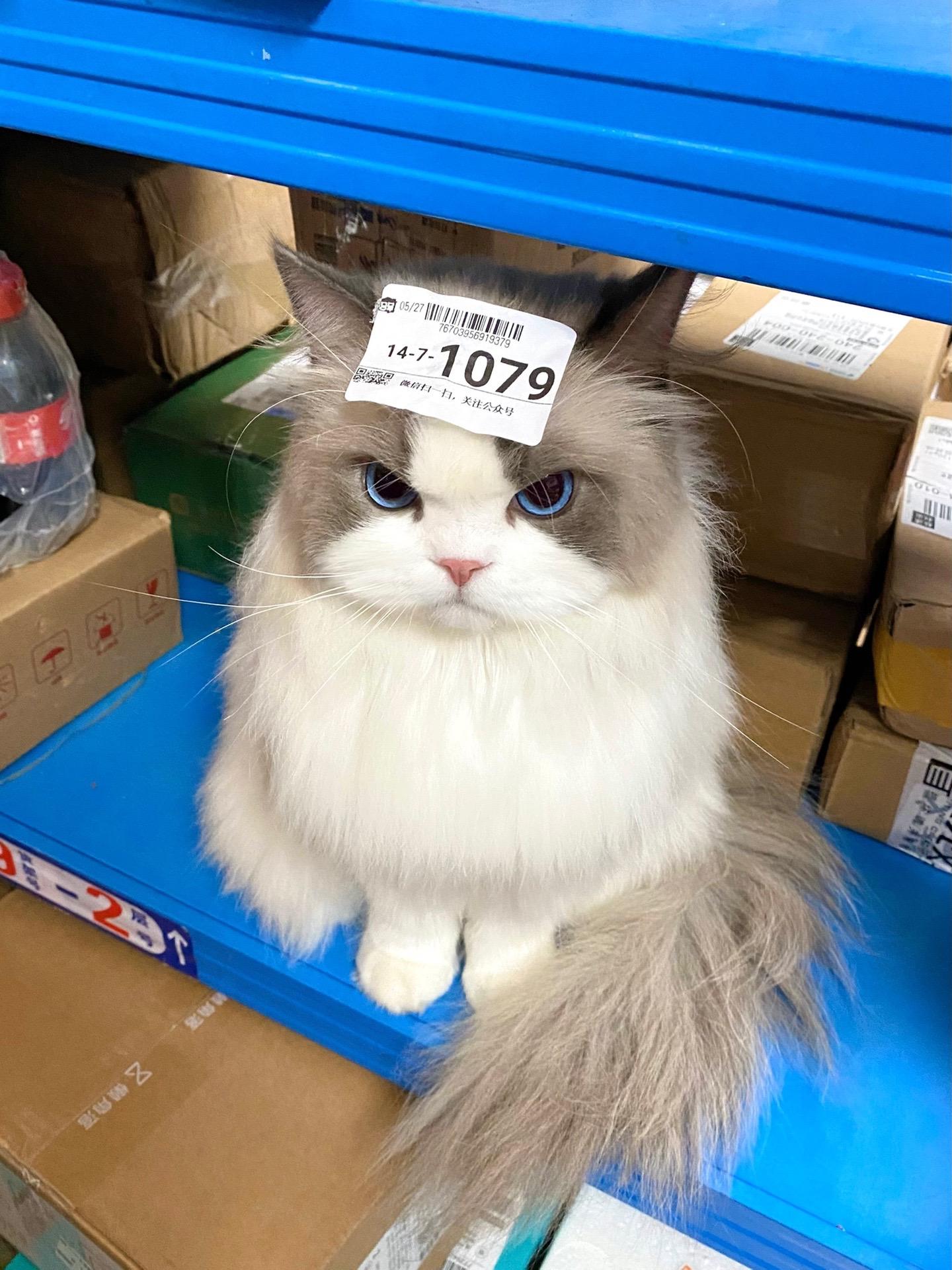 你的快件下午跑出去玩啦 记得取件喔。