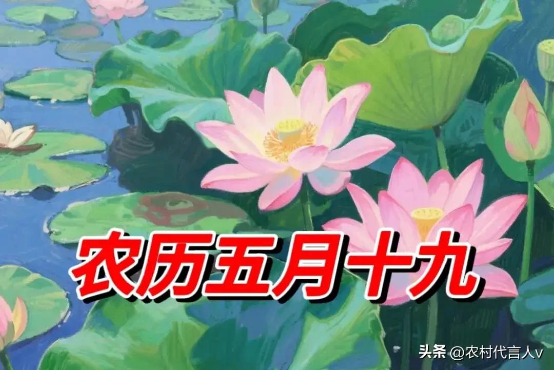 今日农历五月十九，成日，牢记“3要吃，2不做，1沉淀”，愿百事可成福运久久！
 