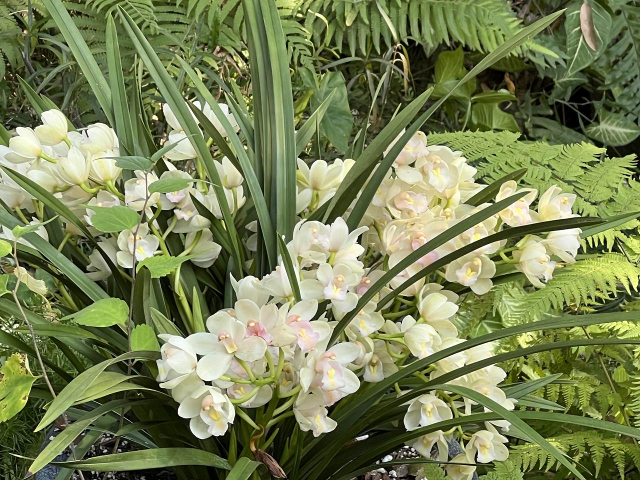 二月二

文/申明洲

二月二，春光正好，春风正暖，春菜正鲜，好运正昂首。

二