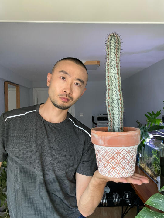 我和我的仙人掌科植物.NO.16--斑马柱