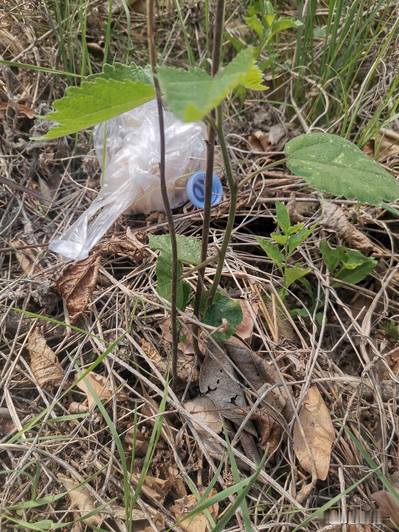 人到中年，难免会焦虑，事事不如意。总会忍不住发脾气，而且发的很厉害，真担心自己做