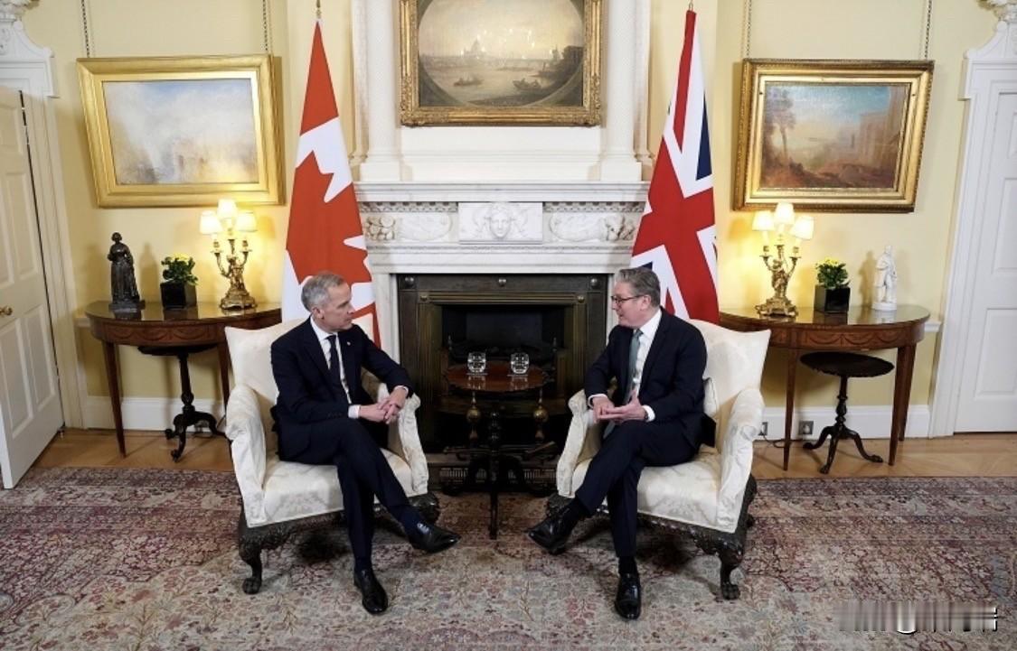 加拿大新任总理马克·卡尼（Mark Carney）于2025年3月17日对英国进