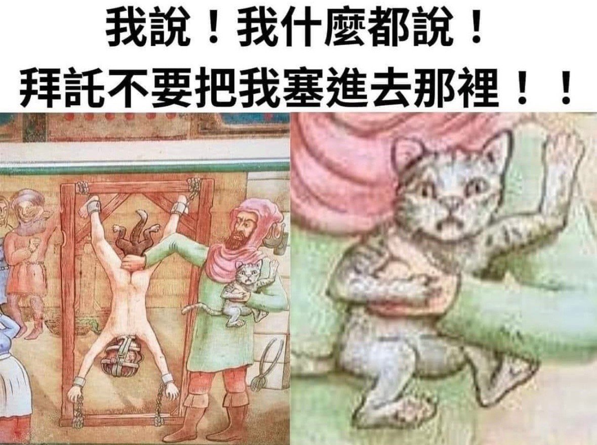 到底在折磨谁#meme# ​​​