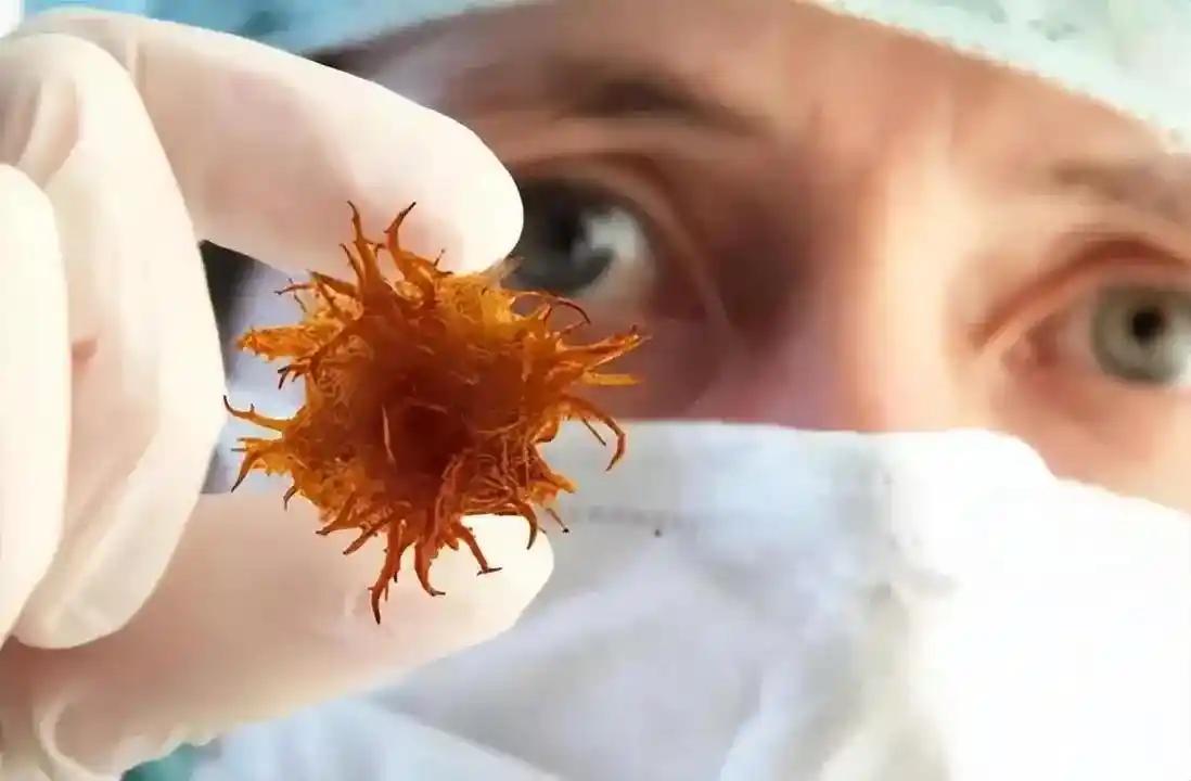 癌细胞最怕的这四种食物，建议每天换着吃！
说到癌症，很多人第一反应是“谈癌色变”