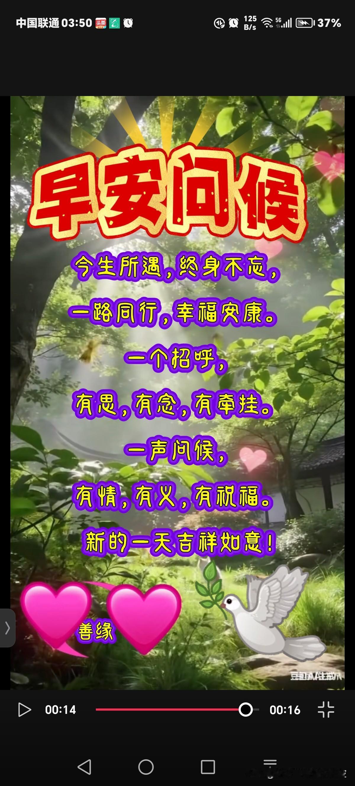 今天是2026年1月9日，星期五，签到成功，获得9个创业卷，已连续签到9天！
G