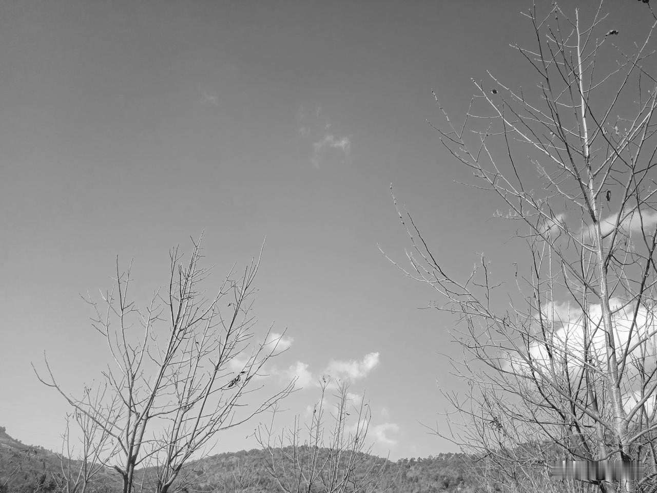 小村里，一天死了两个人，死得突然，让人惊讶。山里人打了谷子，晒干，磨米，准备做新