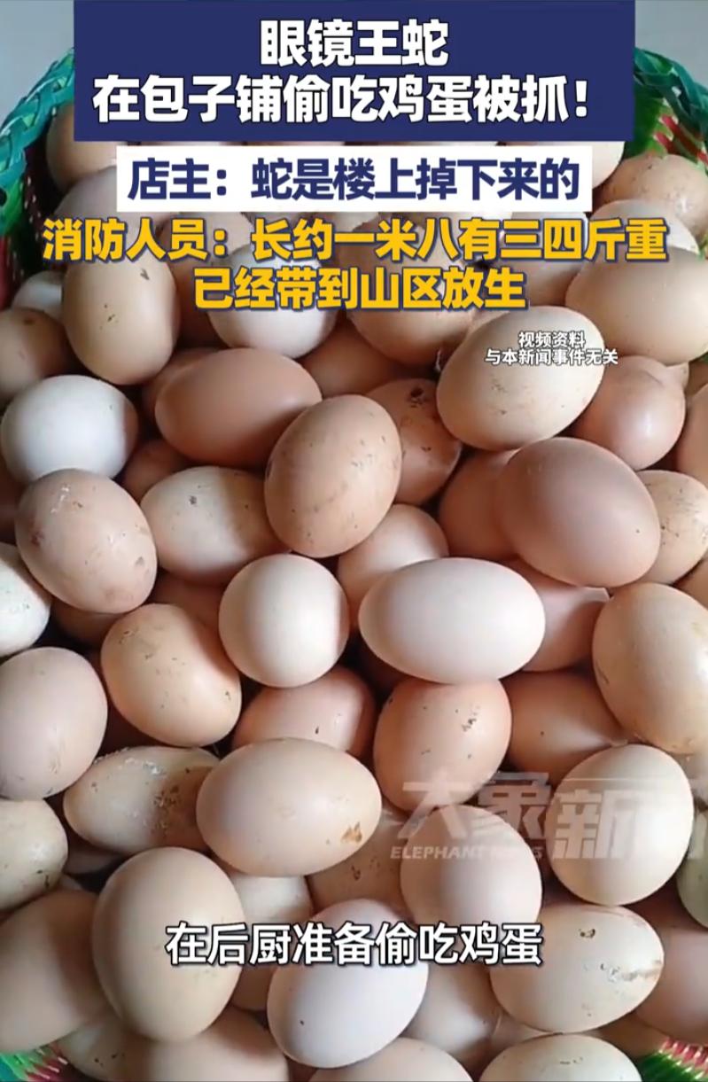 深圳一家包子店后厨突发惊险一幕！5月7日报道，店主巡查时忽然听见墙角传来异样响动